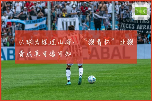 以球为媒连山海，“援青杯”让援青成果可感可知