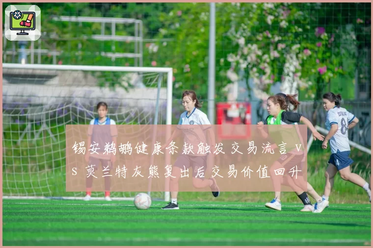 锡安鹈鹕健康条款触发交易流言 vs 莫兰特灰熊复出后交易价值回升，问题球星市场行情逆转